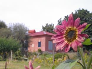 Launceston Australia Discount Code Agoda.com