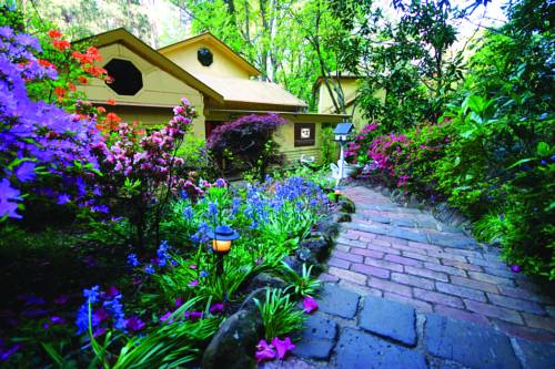 Mt Dandenong Australia Discount Code Booking.com