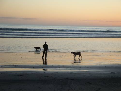 Papatotara New Zealand Booking.com_temporary_text