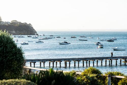 Mornington Peninsula Australia Discount Code Agoda.com
