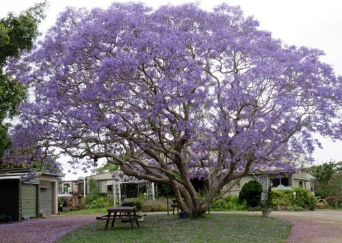 Narooma Australia Discount Code Booking.com