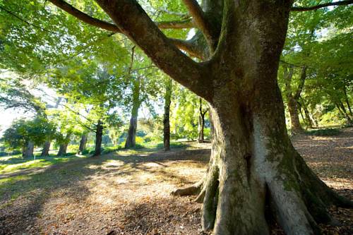 Daylesford Australia Discount Code Booking.com