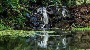 Sunshine Coast Australia Discount Code Agoda.com