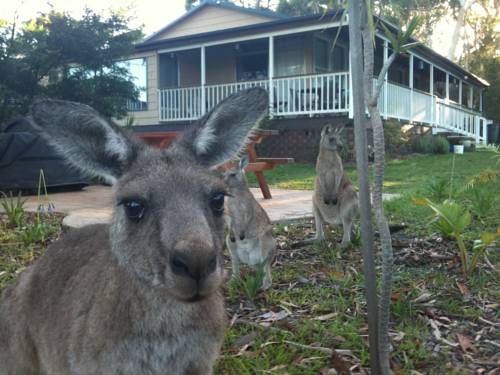 Erowal Bay Australia Hotel Booking.com