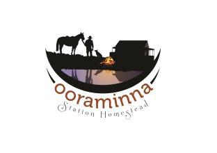 Alice Springs Australia Hotel Agoda.com