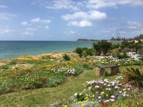 Narrabeen Australia Discount Code Booking.com