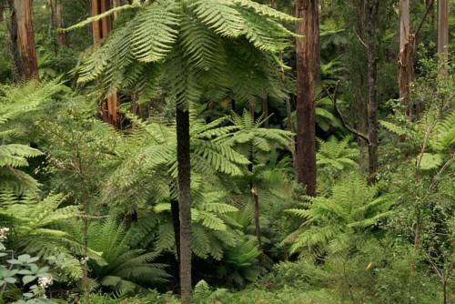 Don Valley Australia Discount Code Booking.com