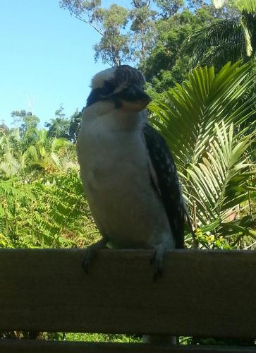 Coffs Harbour Australia Discount Code Agoda.com