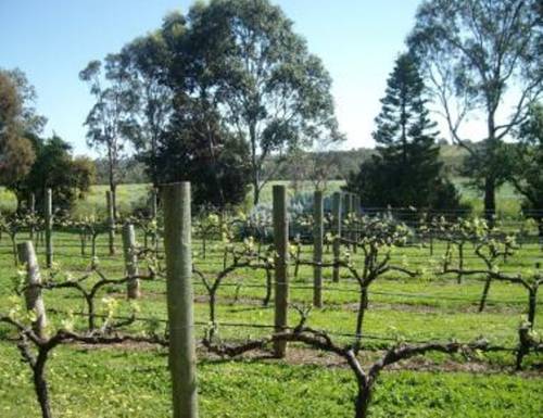 McLaren Vale Australia Hotel Booking.com